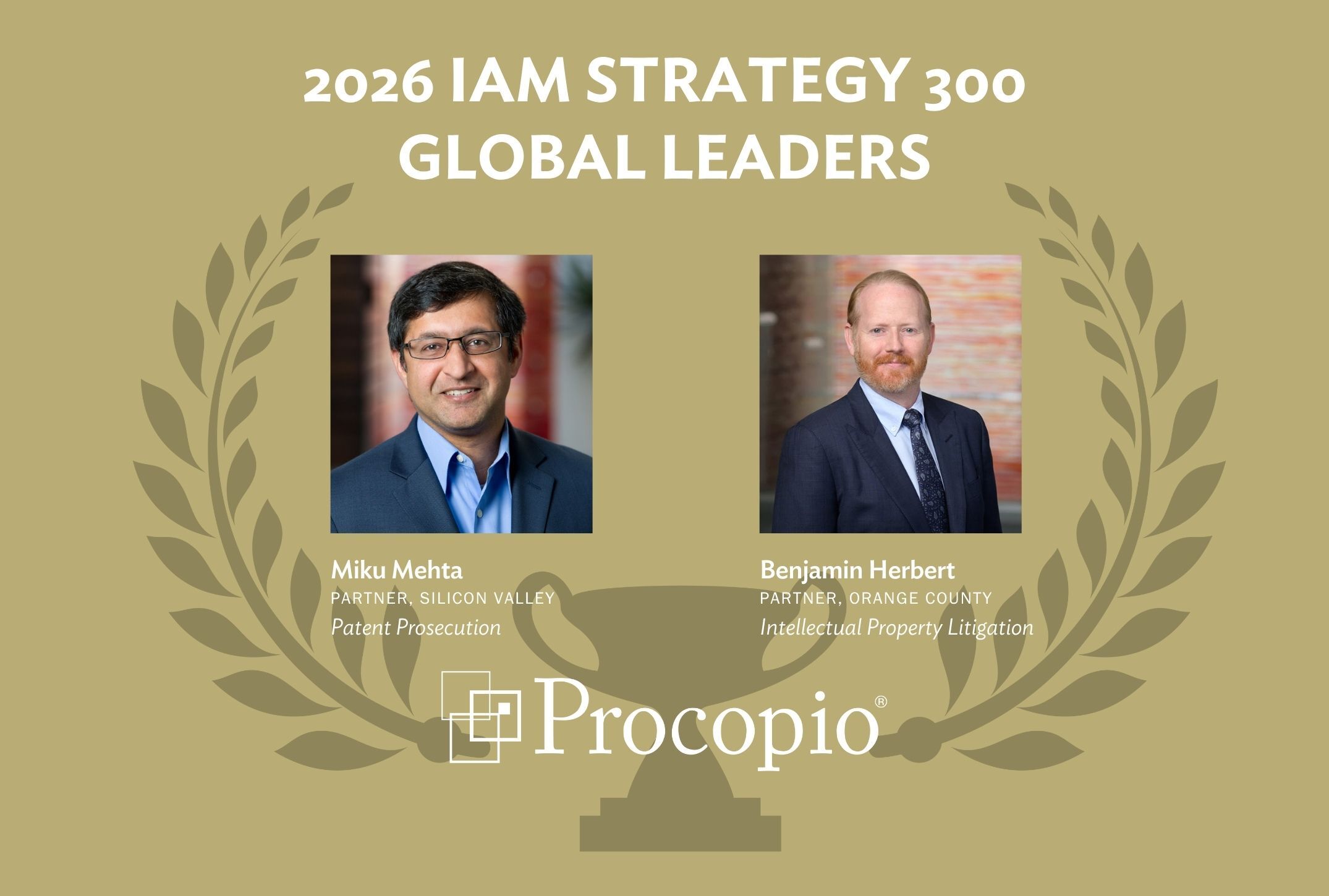 2026 IAM Strategy 300