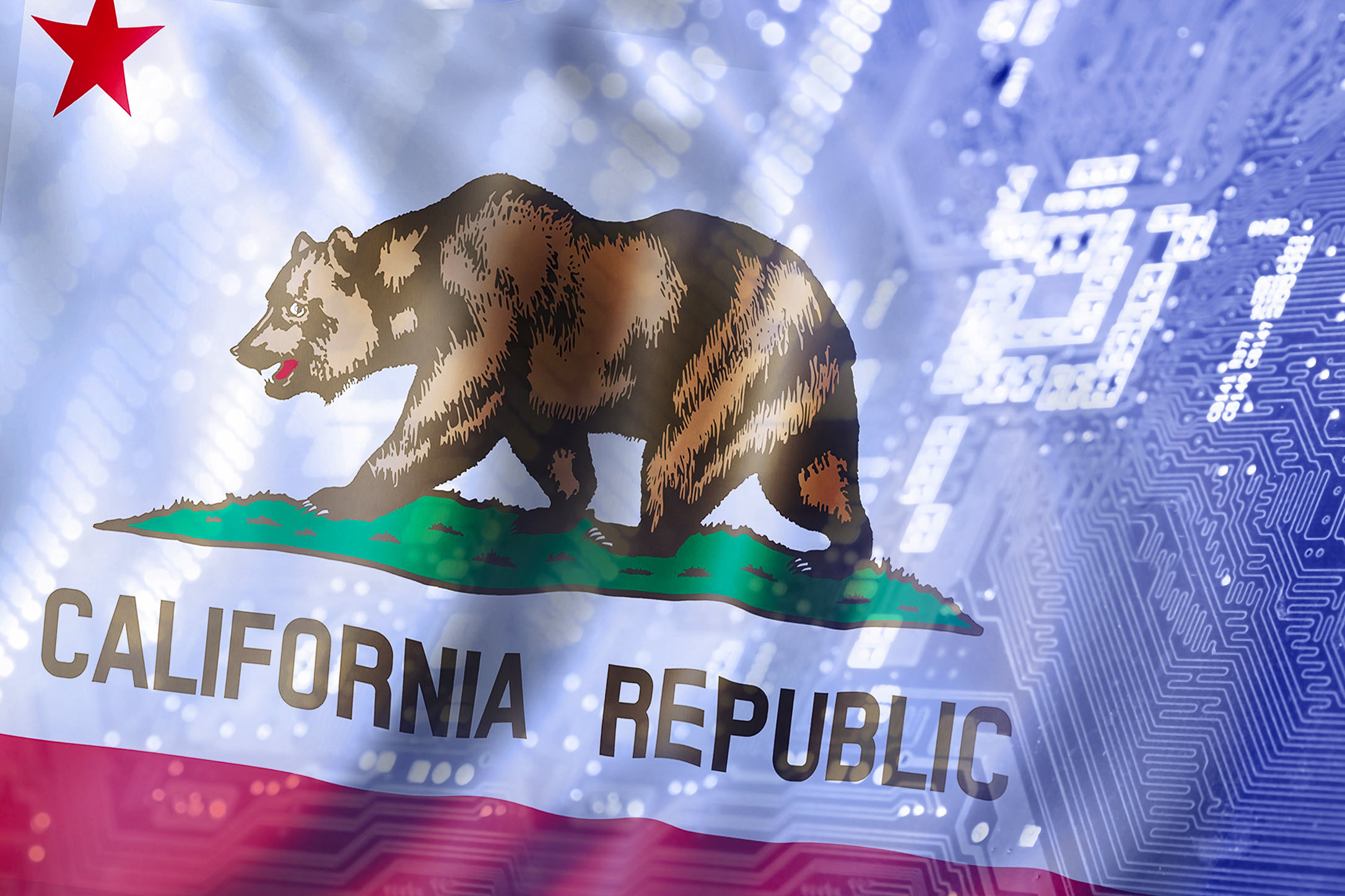 California flag silicon chip data graphic