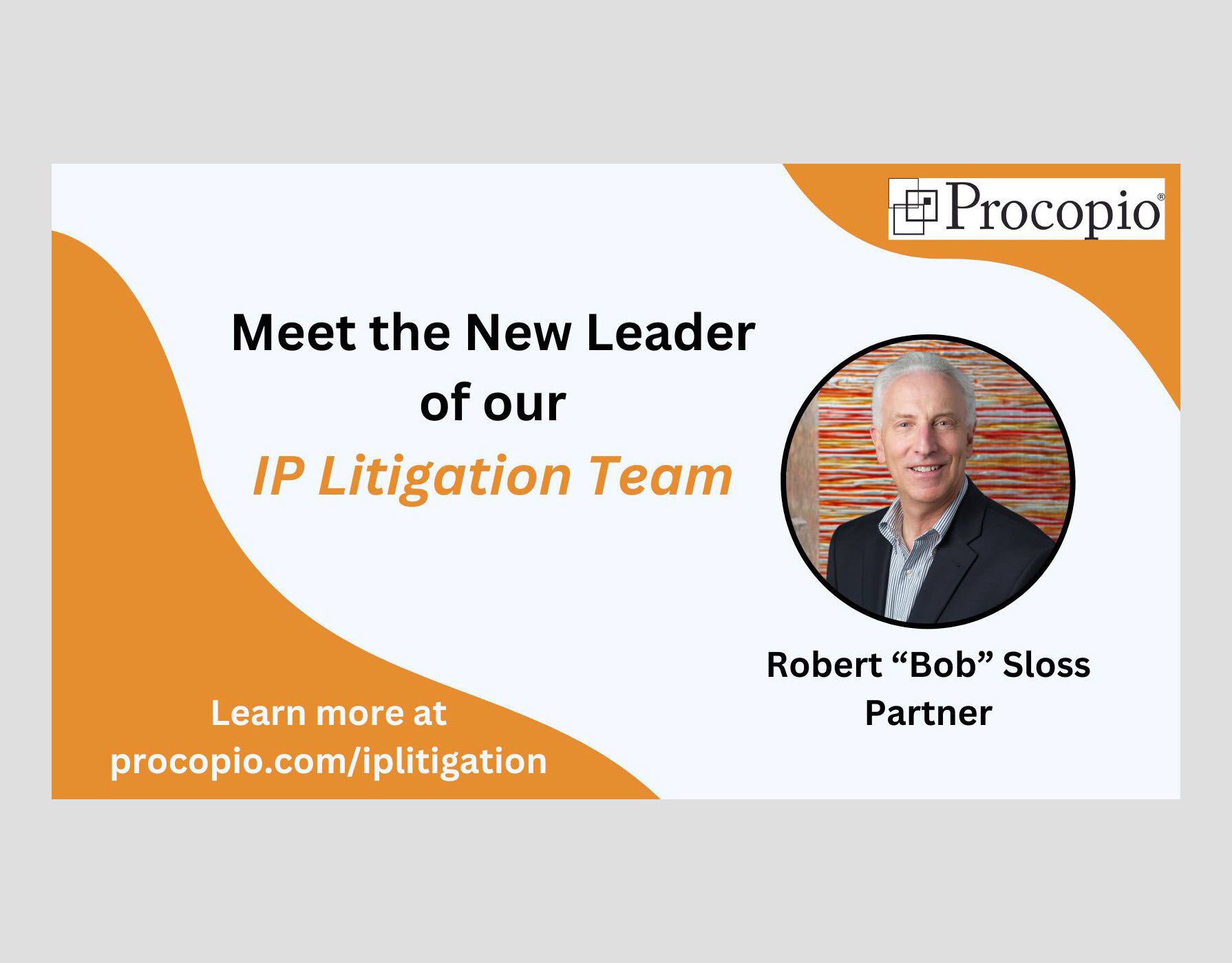 IP litigation leader slide website