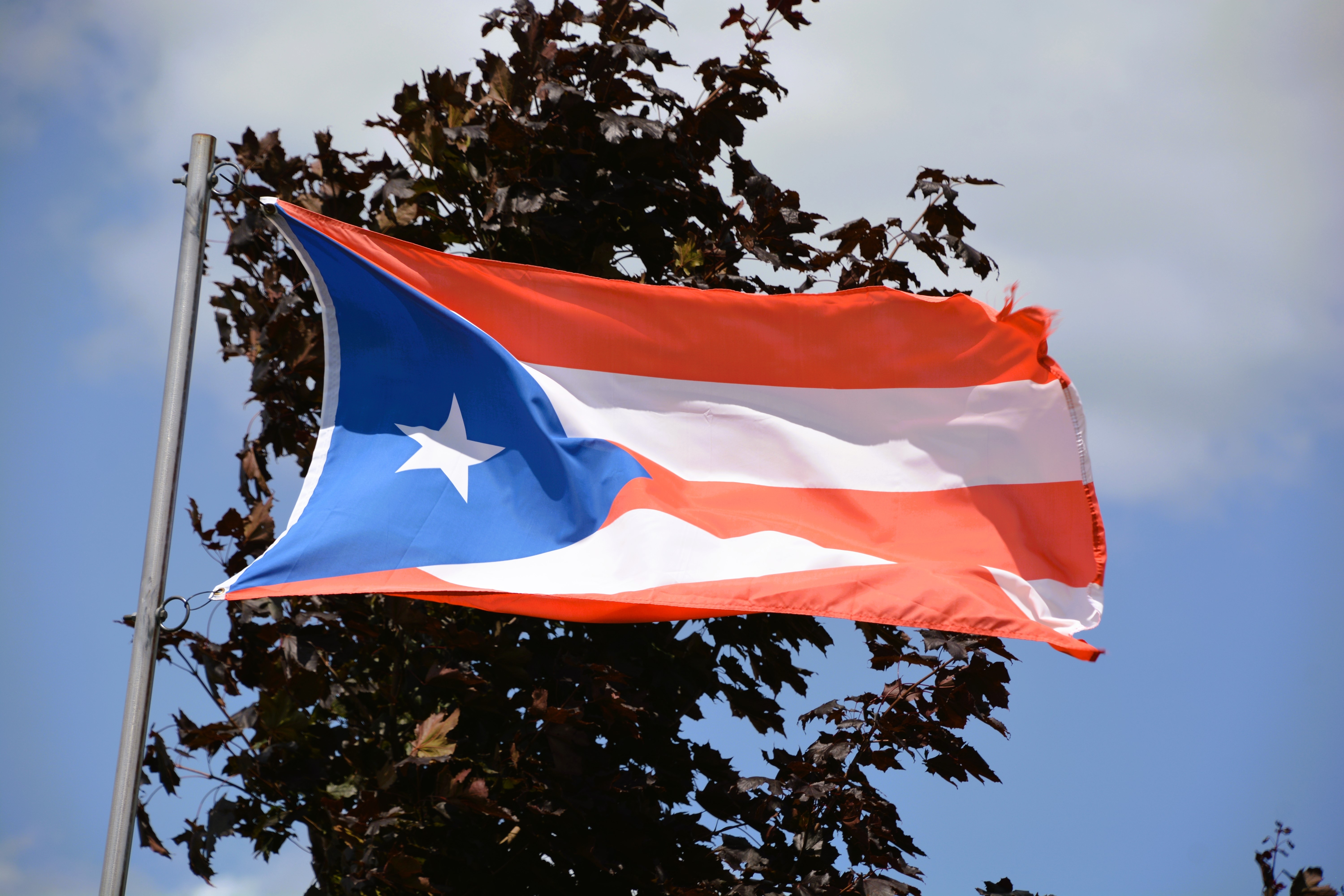 Puerto Rico flag
