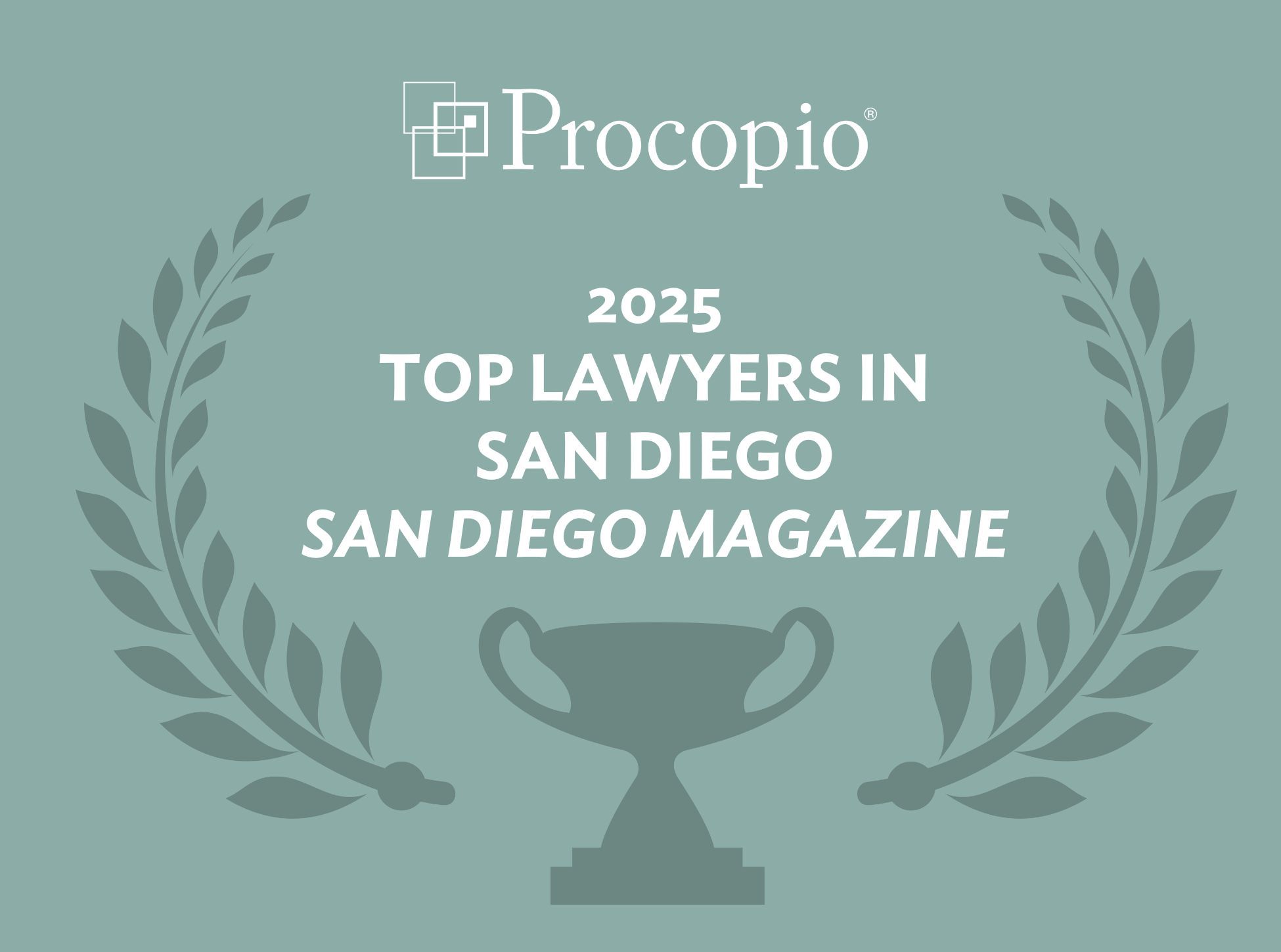 Top Lawyers Accolade