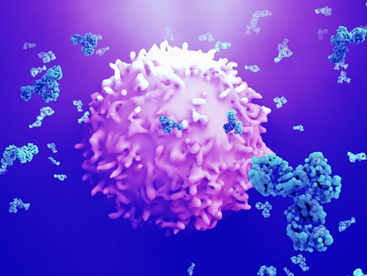 antibodies attack cancer cell hubspot
