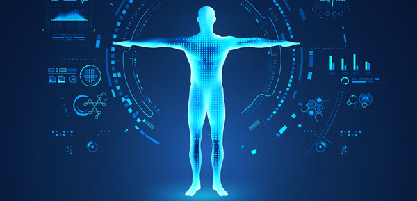 digital human body scan narrow
