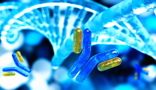 dna helix antibody hubspot