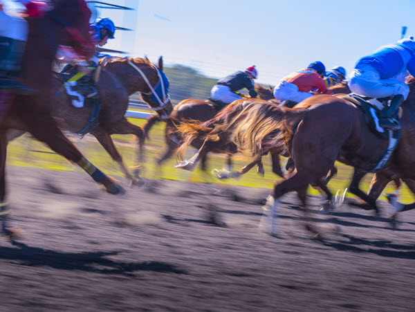 horse racing hubspot