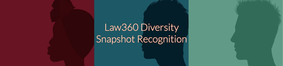 law360 diversity snapshot newsletter