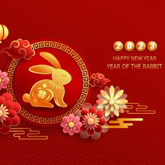 lunar new year hubspot final