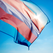 transgender flag